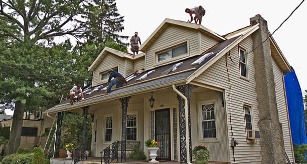 Best Shingle Roofing Installation  in Burton, MI