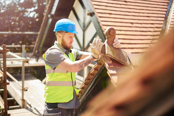 Roof Gutter Cleaning in Burton, MI