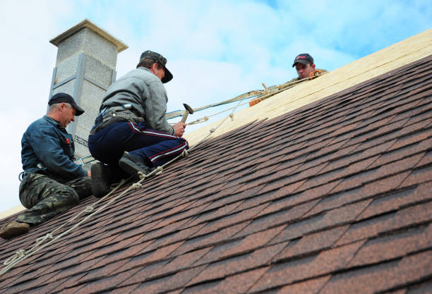 Best New Roof Installation  in Burton, MI